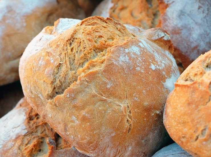  biga perfetta per preparare casatielli e pane croccanti fuori e morbidi dentro