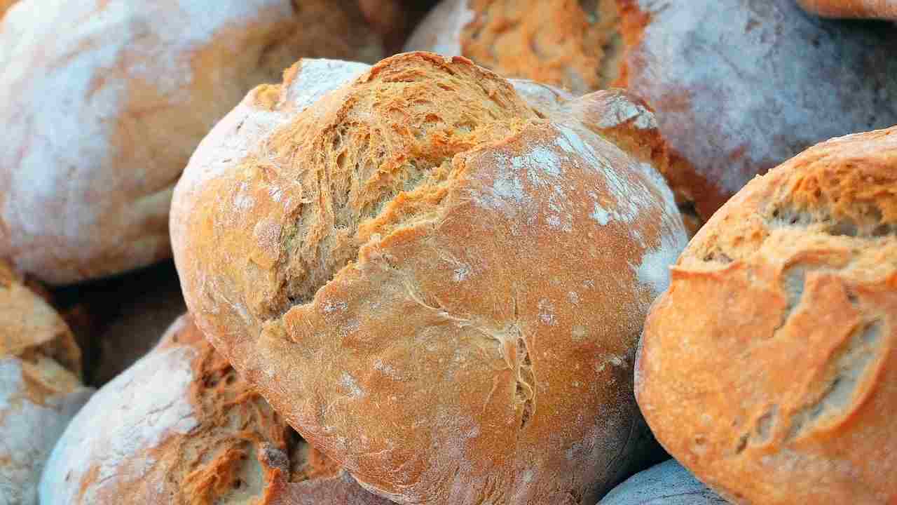 biga perfetta per preparare casatielli e pane croccanti fuori e morbidi dentro