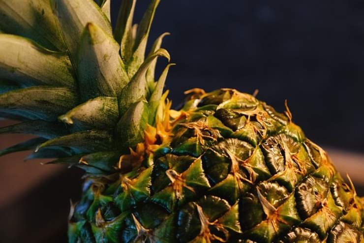 Dieta dell'ananas, tutti i suoi incredibili benefici, ecco perchè noi donne dovremmo farla