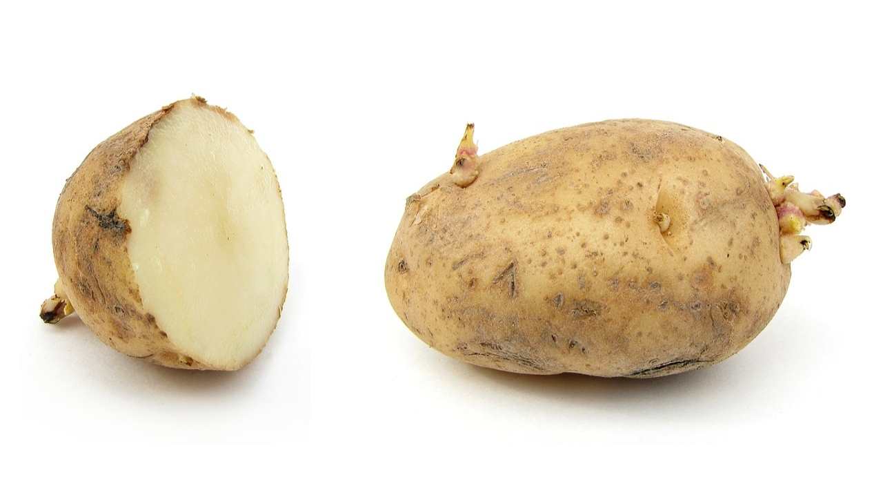 Come conservare le patate e non farle germogliare: 2 trucchi infallibili