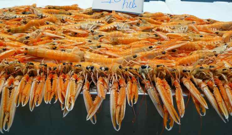 scampi crostaceo 20220427 - Nonsapeviche.com