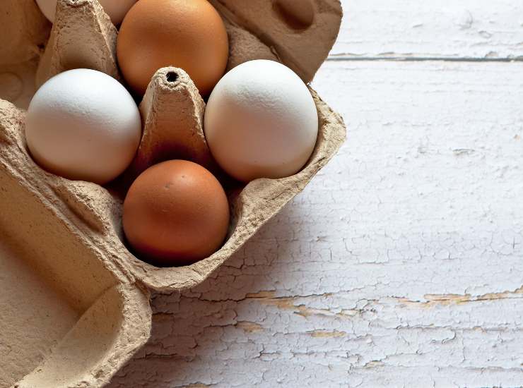 uovo di cioccolato o uovo di gallina ecco cosa predeiliggono le star a colazione