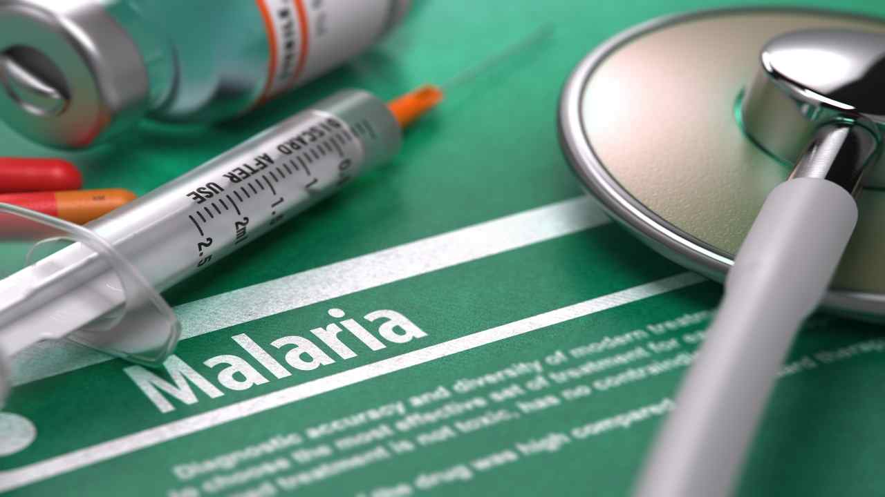 Malaria, nuova scoperta ecco quando bisogna allarmarsi