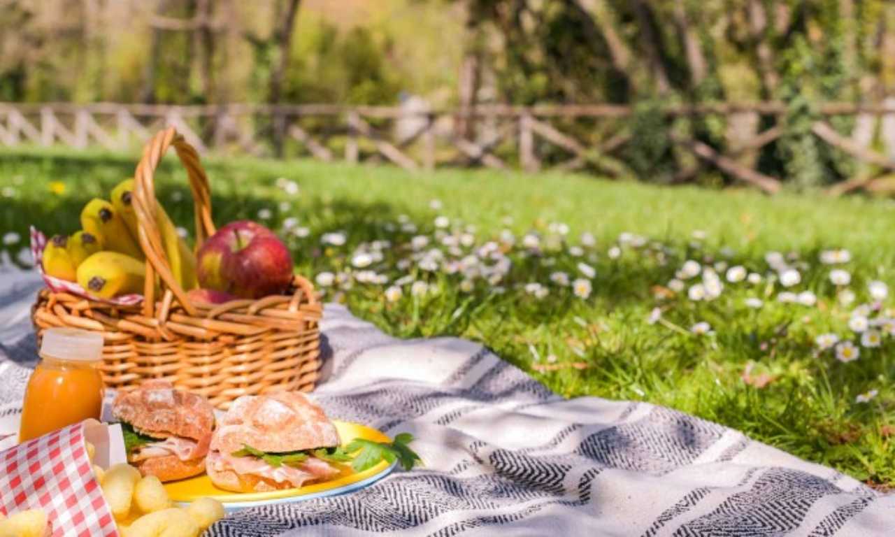 Peste suina divieto di picnic - NonSapeviChe