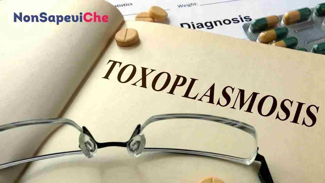 La toxoplasmosi colpisce 1 persona su 3: il nuovo sintomo da conoscere è negli occhi