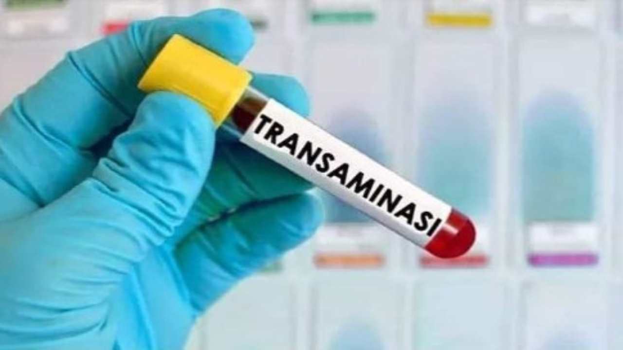 Anemia, carenza di ferro, fiacca? Ecco dove trovare il ferro non solo nella carne