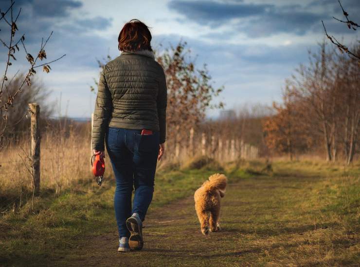 Camminare non basta bisgona a farlo a passo veloce, ecco perché 26052022 Nonsapeviche