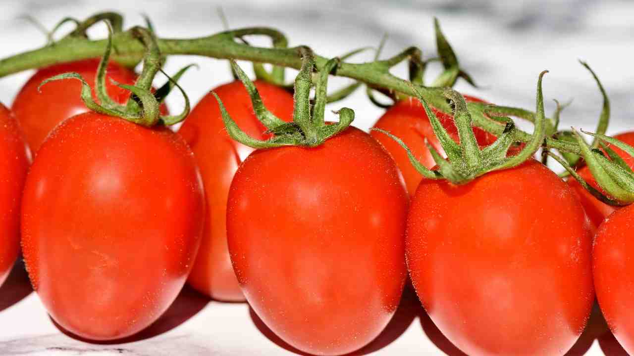 pomodori in bottiglia o barattolo, ecco il segreto delle nonne, per una ricetta infallibile!