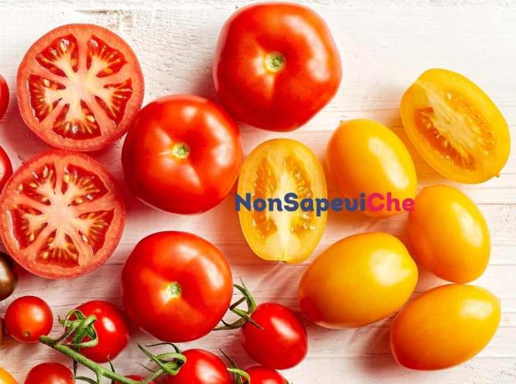 arriva il nuovo pomodoro geneticamente modificato pieno zeppo di una vitamina