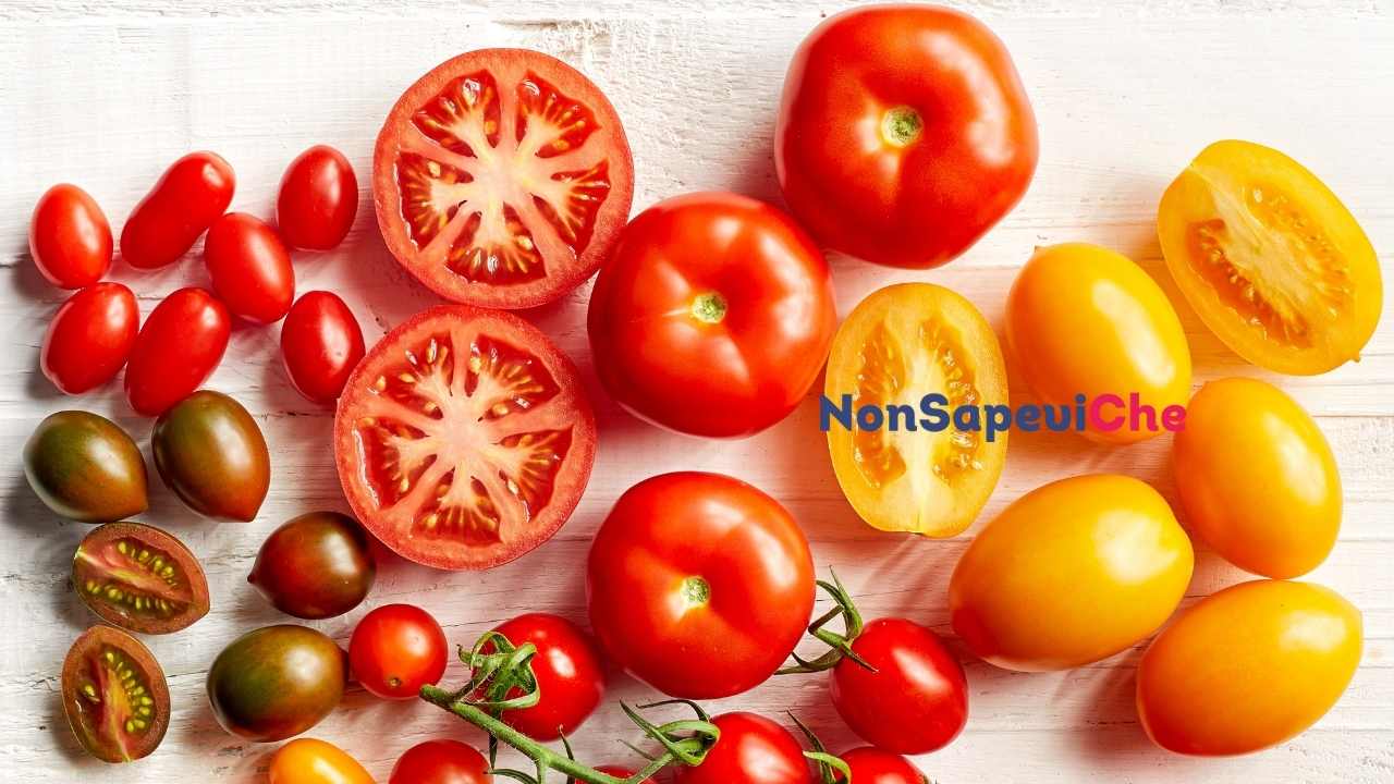 arriva il nuovo pomodoro geneticamente modificato pieno zeppo di una vitamina