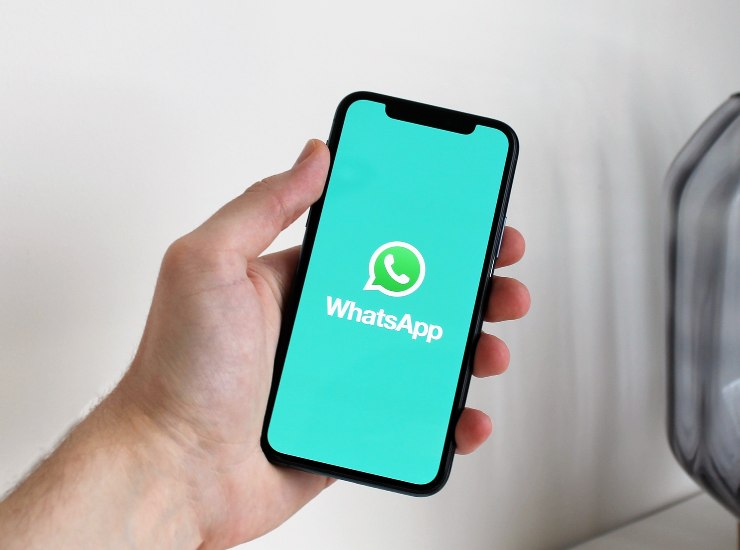 Non vuoi farti "sgamare" su whatsapp? Ecco come disattivare le spunte blu