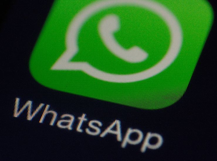 Non vuoi farti "sgamare" su whatsapp? Ecco come disattivare le spunte blu