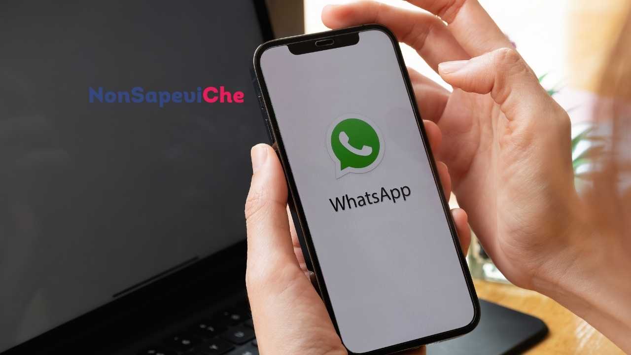 Non vuoi farti "sgamare" su whatsapp? Ecco come disattivare le spunte blu