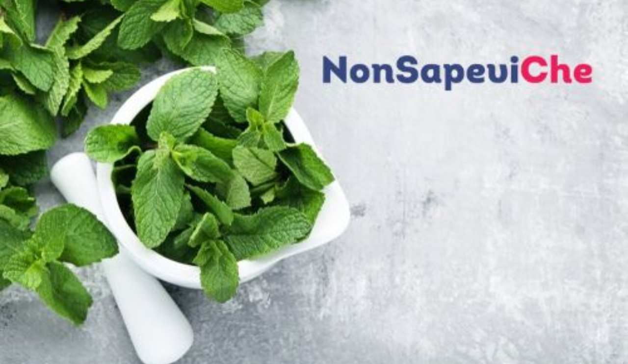 Non abusare della menta - NonSapeviChe