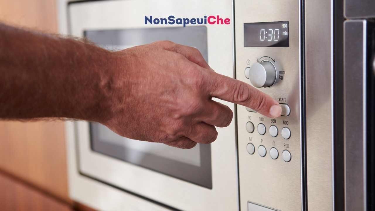 Forno a microonde vietato: ecco cosa non devi mai scaldarci 23062022 Nonsapeviche