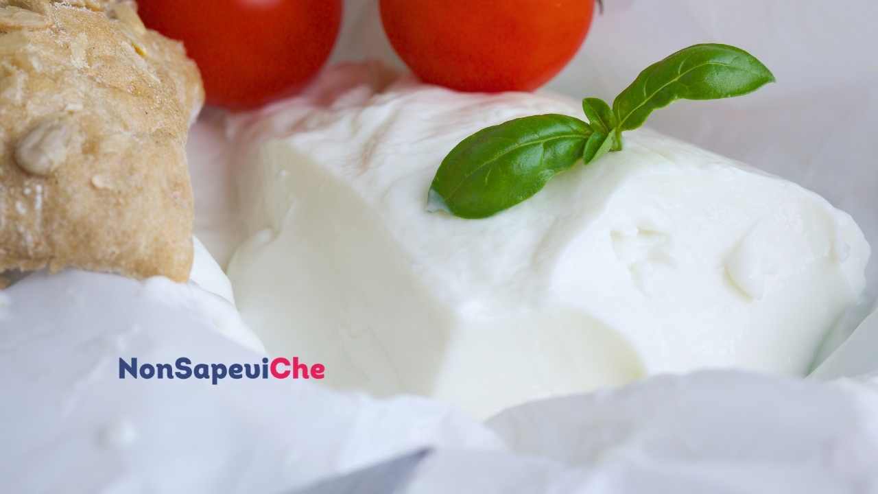 Crescenza e starcchini i migliori da acquistare al supermercato, la classifica 02062022 Nonsapeviche