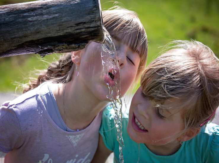 bere acqua in estate é importante