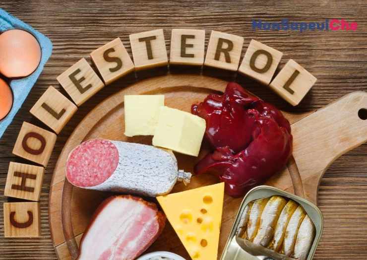 dieta per il colesterolo alto, cosa mangiare e cosa no 29062022