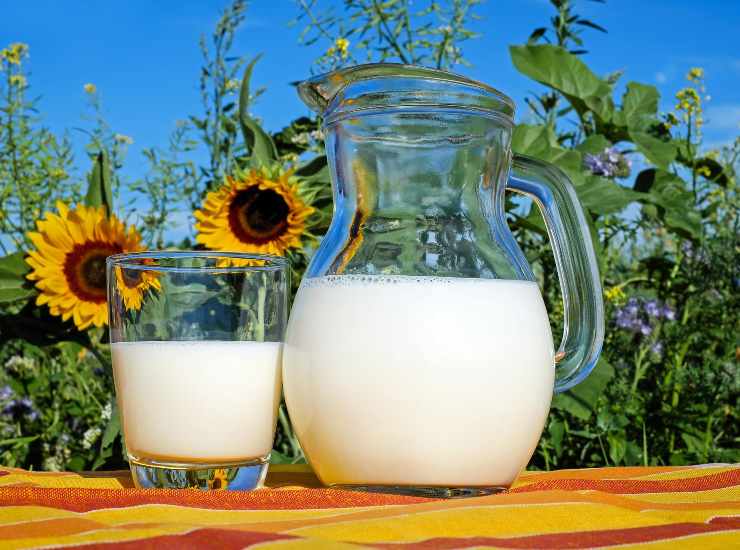 Non tutto il latte è uguale: ecco come scegliere il migliore 24062022 Nonsapeviche