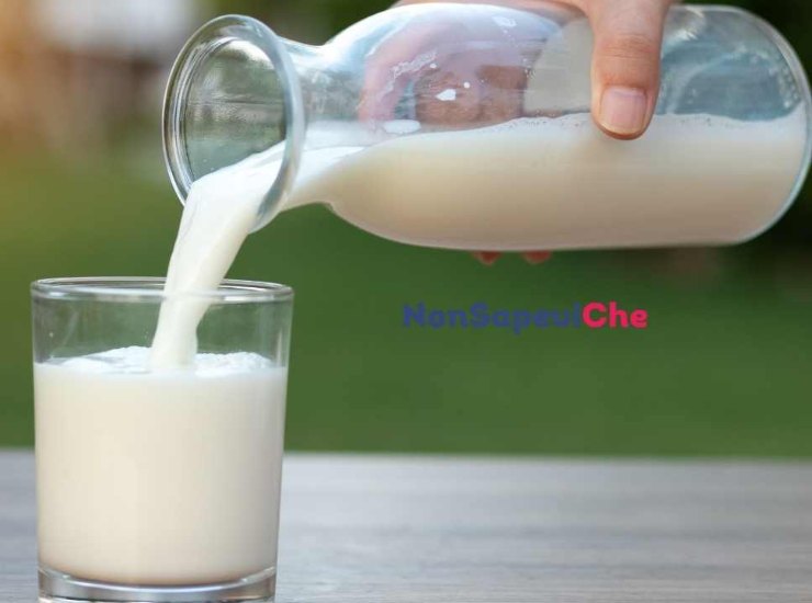 Non tutto il latte è uguale: ecco come scegliere il migliore 24062022 Nonsapeviche