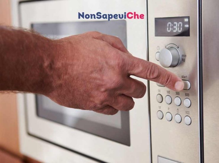 Forno a microonde vietato: ecco cosa non devi mai scaldarci 23062022 Nonsapeviche