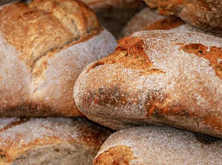 pane e pasta nella dieta non devono mai mancare, parole degli specialisti 03062022 Nonsapeviche