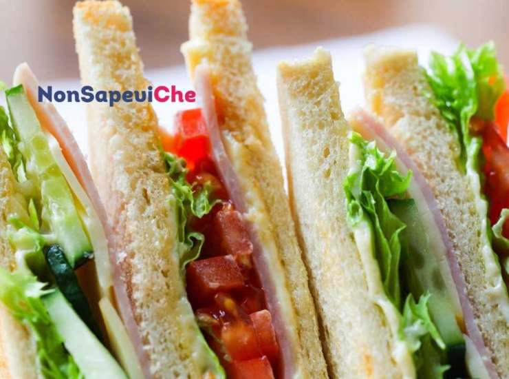 quali sono i panini da fare se sei a dieta 10062022 Nonsapeviche