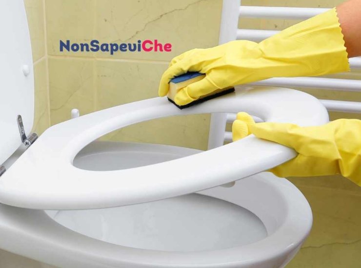 Cme pulire ed igienizzare il WC incrostato e annerito senza fatica 12062022 Nonsapeviche