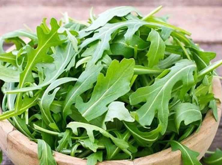 rucola