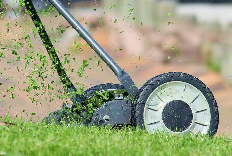 Il primo piatto perfetto per l'estate: da mangiare sia caldo che freddo 13062022