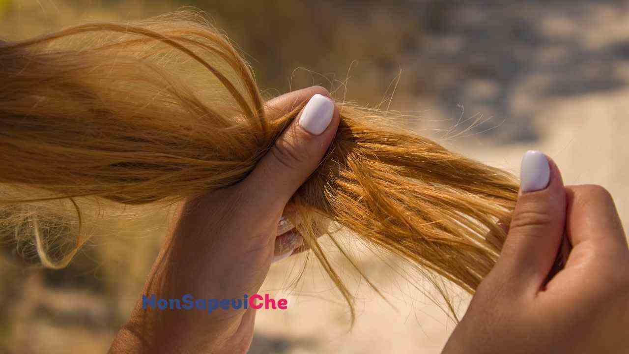 Sei in vacanza i tuoi capelli sono secchi, cosa puoi utilizzare da mettere in testa di stravagante, reperibile ovunque