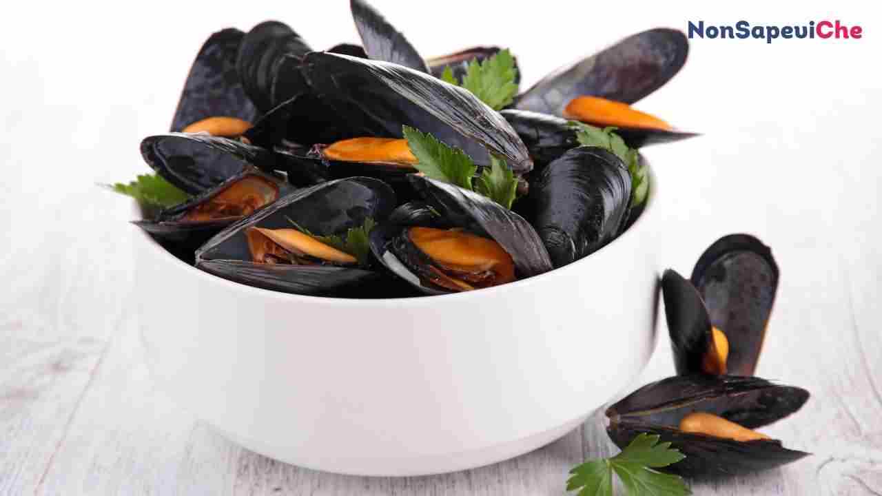 Come si riconoscono le cozze fresche, ecco i trucchetti