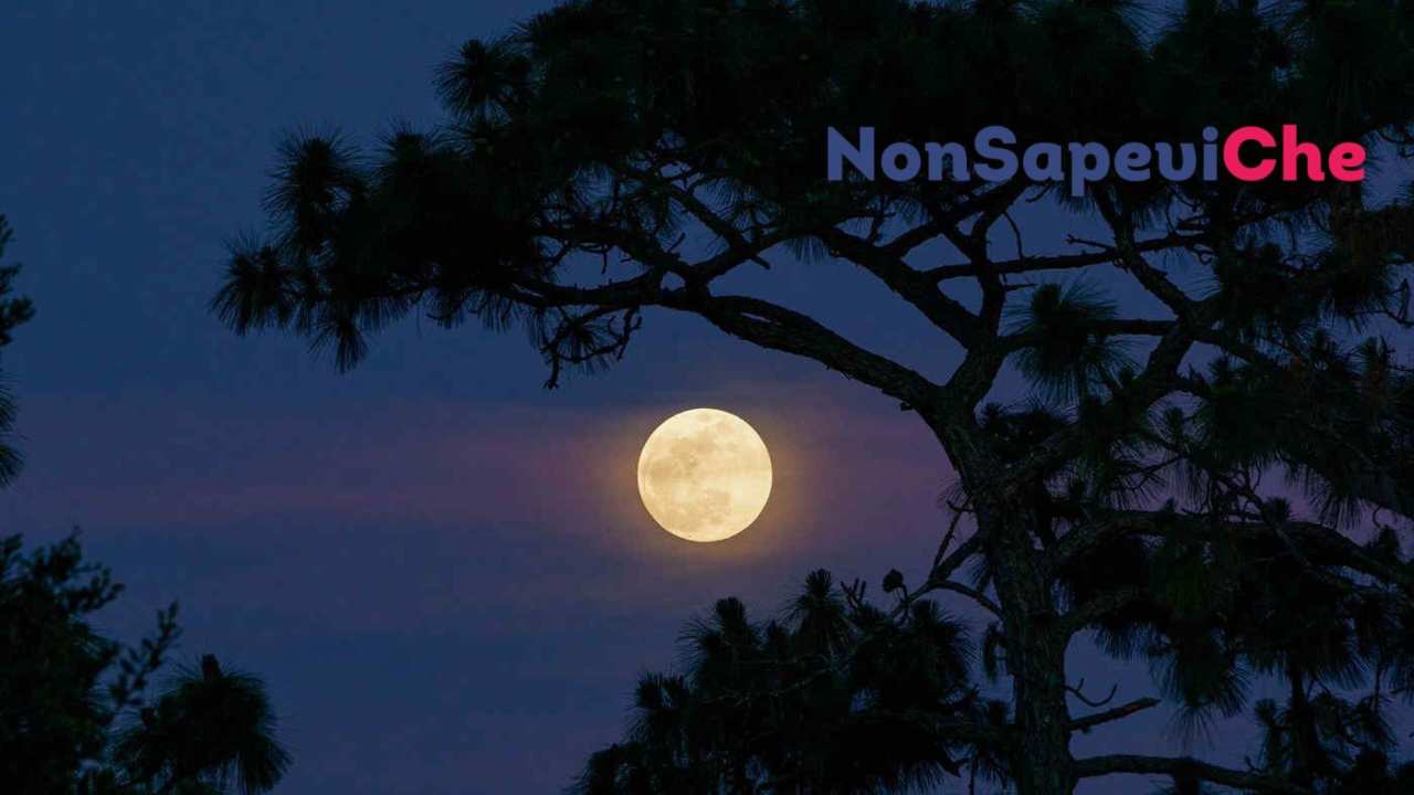 Luna piena sulla persona - NonSapeviChe