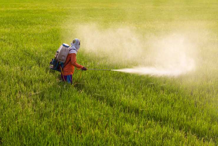 Pesticidi nei capelli esame - NonSapeviChe