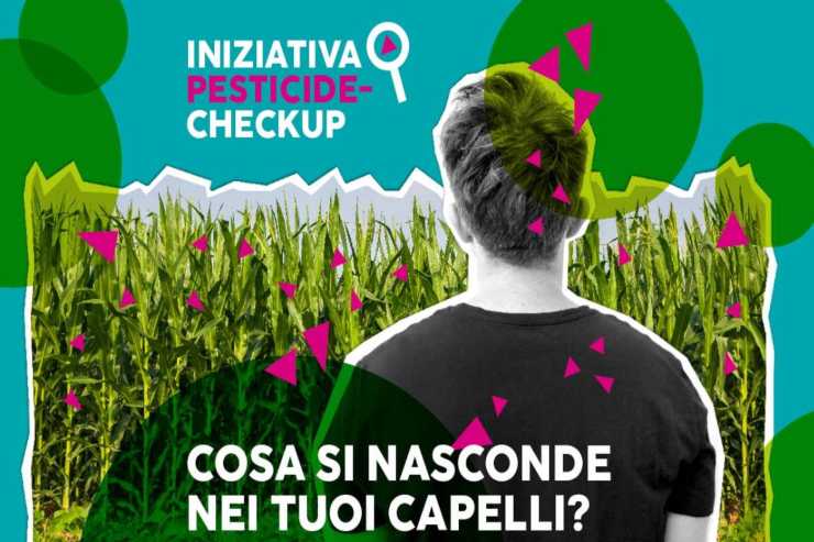 Pesticidi nei capelli esame - NonSapeviChe