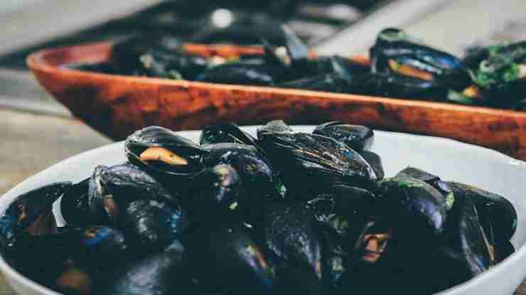 Come si riconoscono le cozze fresche, ecco i trucchetti