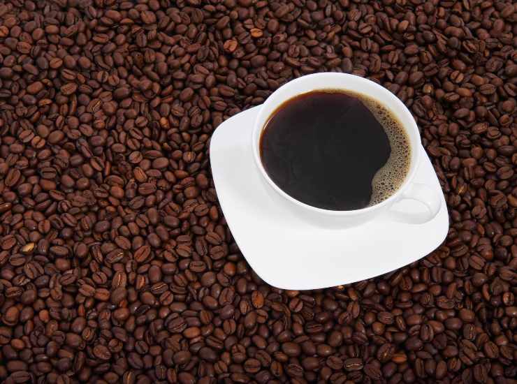 Caffè uguale insonnia? Facciamola finita una volta per tutte con questa chiacchiera 22072022 Nonsapeviche