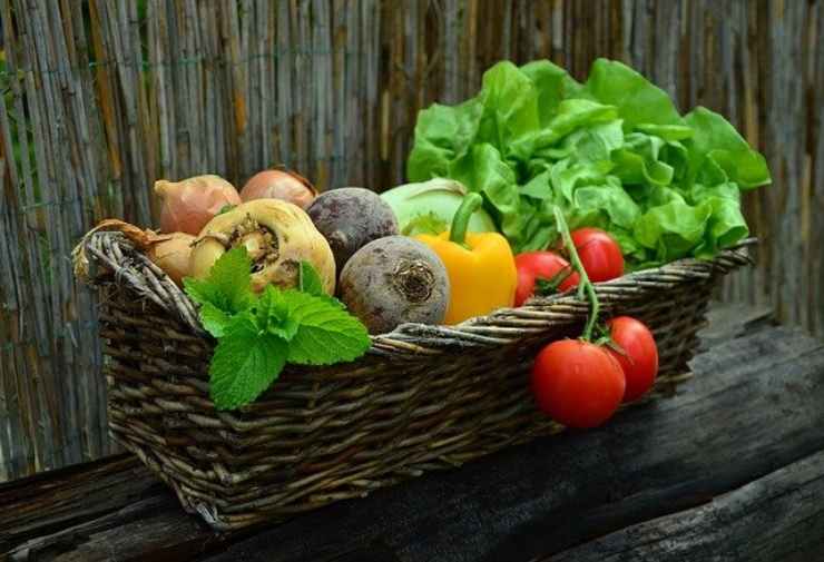 Verdure estive anche d'inverno, è possibile se fate come le nonne