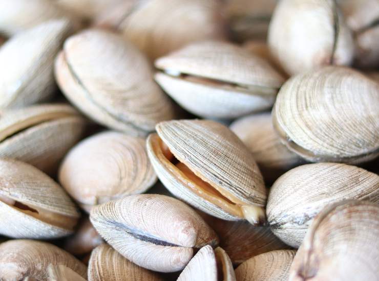 Voglia di vongole immediata, come spurgarle facilmente 17072022 Nonsapeviche