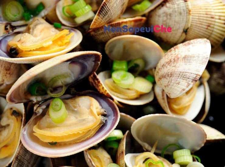 vongole con questo caldo fai attenzone, accertati che siano fresche, come riconoscerle 28072022 Nonsapeviche