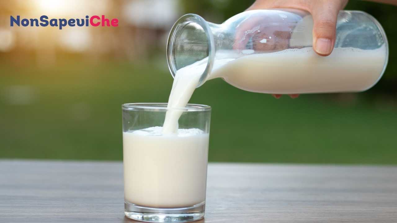 Latte Zimil o senza lattosio, fa ingrassare? Quello che devi sapere per berlo senza rimorsi