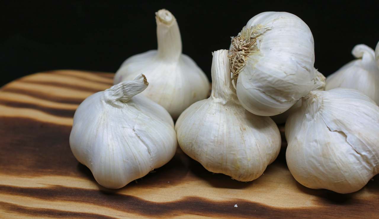 incredibili i benefici dell'aglio ecco perché non dovrebbe mai mancare nella dieta