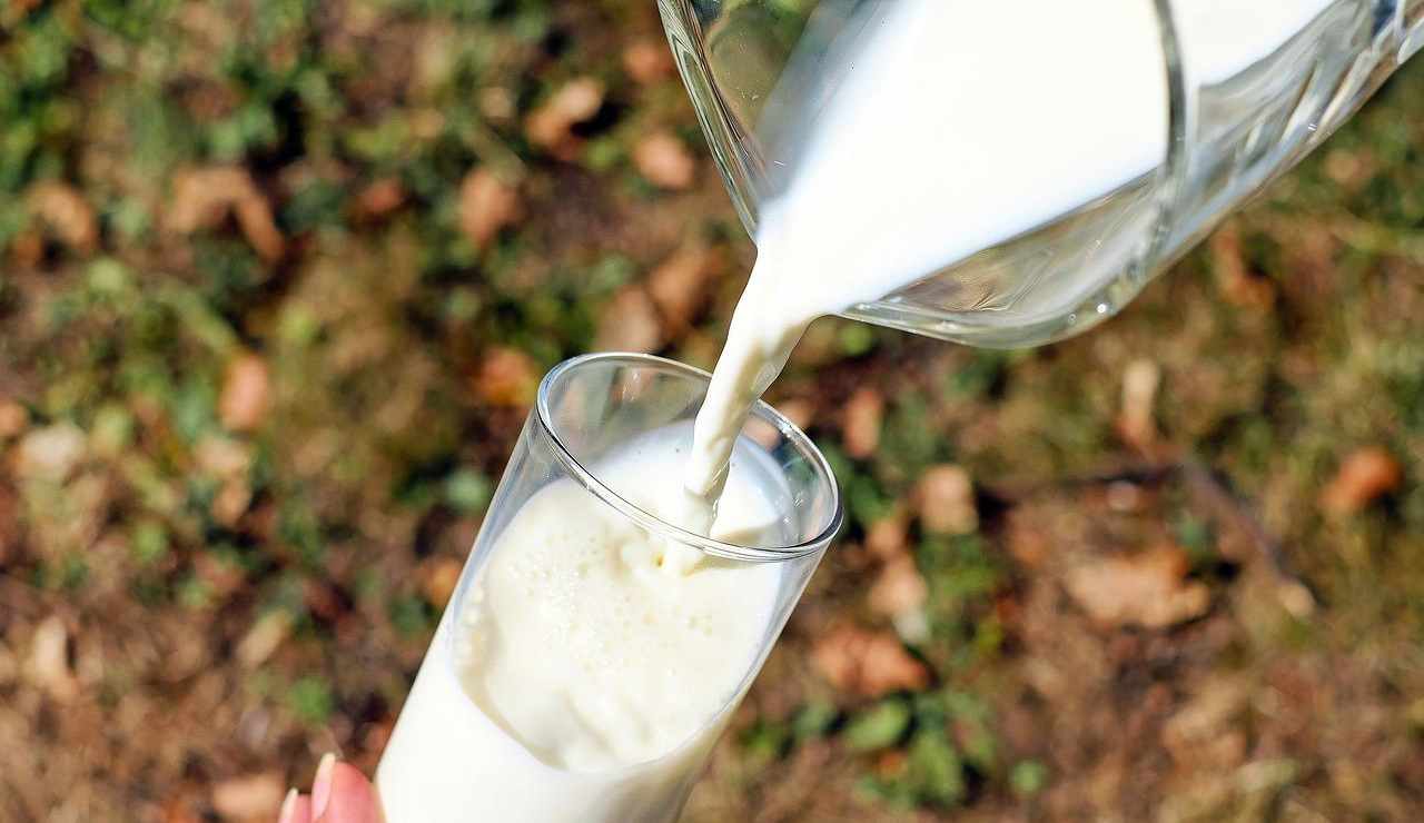 latte senza lattosio fa ingrassare?