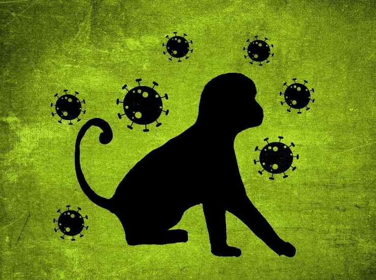 Vaiolo delle scimmie trovato sulle superfici, cosa succederà adesso 23082022 Nonsapeviche