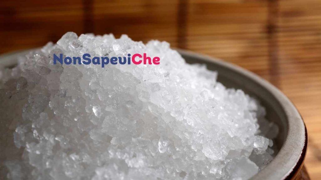 Sale nella lavatrice ecco perche tutti lo stanno mettendo NonSapeviChe