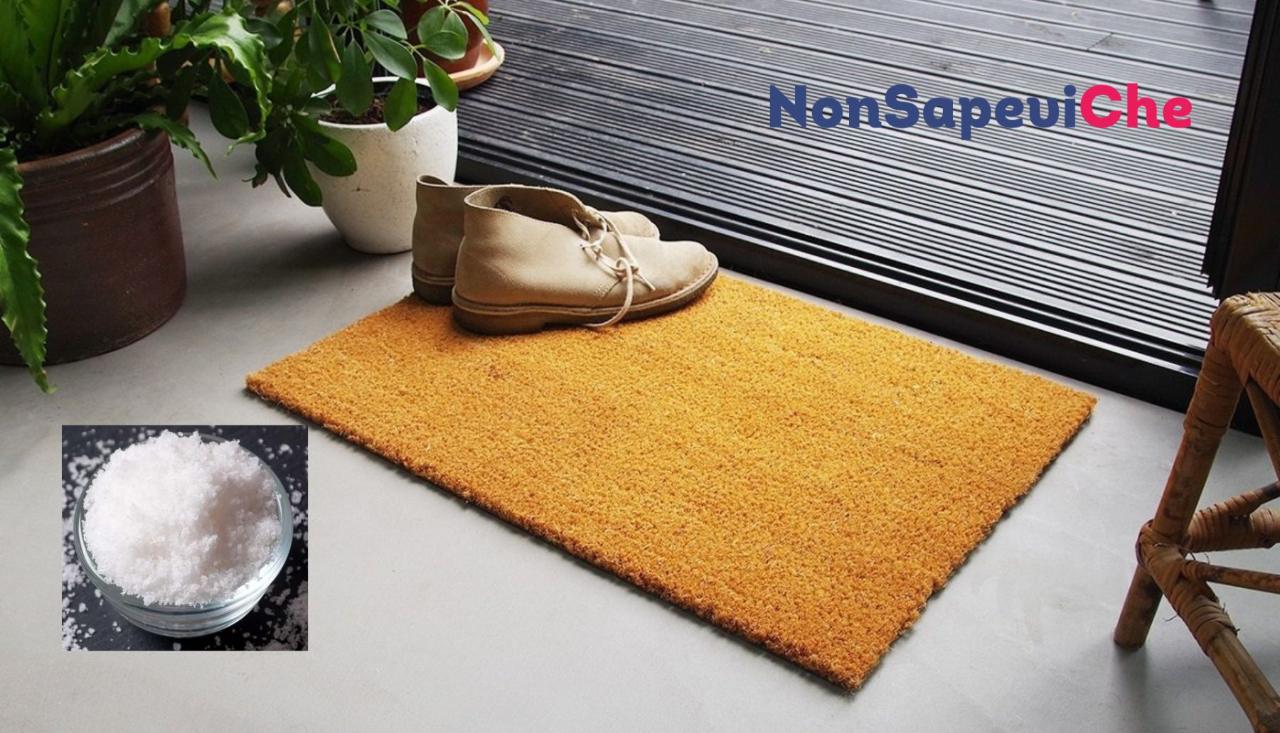 Sale sullo zerbino di casa - NonSapeviChe