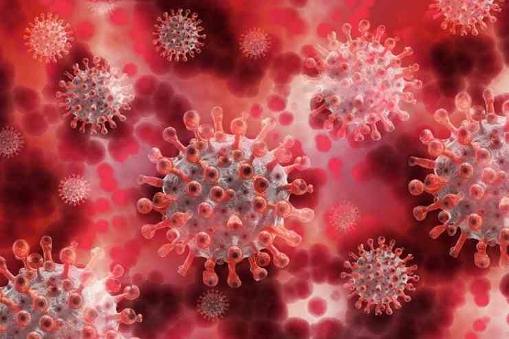 Covid lo studio: se hai avuto il virus non devi vaccinarti