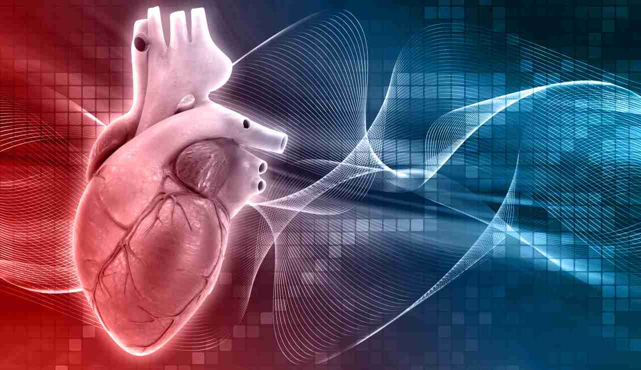 Cibi che puliscono le arterie ecco quali sono e perché dovremmo mangiarli