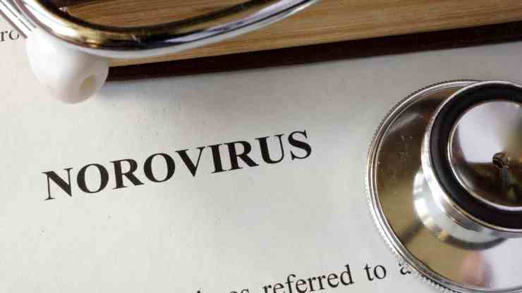 Norovirus 2023 il virus che attacca le scuole, una pandemia in atto
