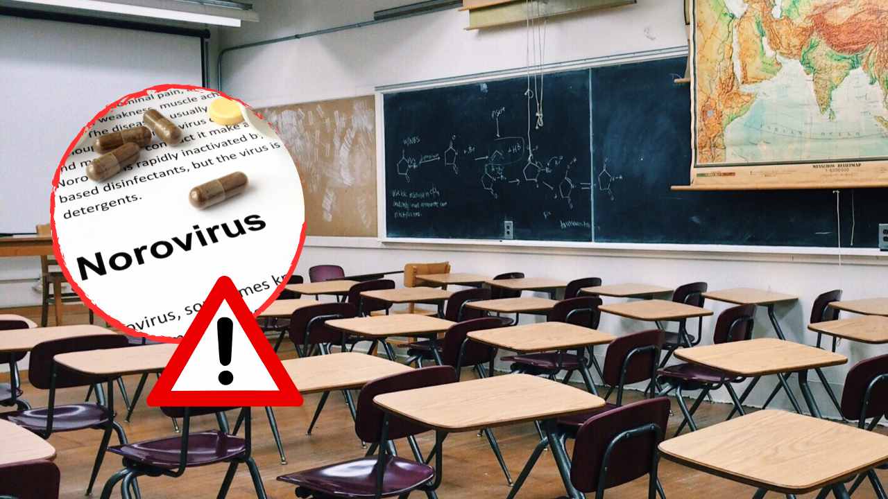 Norovirus 2023 il virus che attacca le scuole, una pandemia in atto